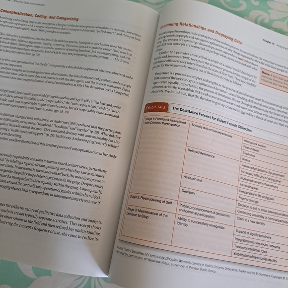 The Practice of Research in Criminology and Criminal Justice6th Edition - Picture 2 of 10